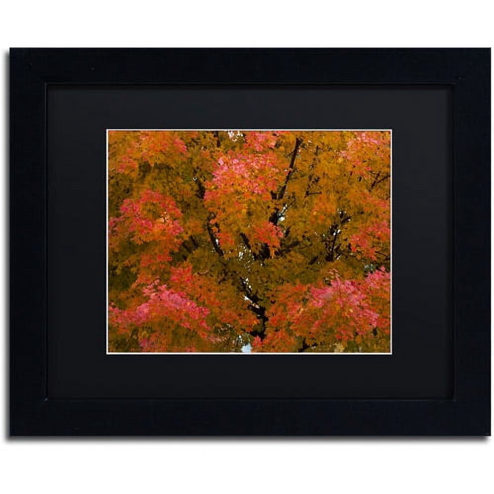 Trademark Fine Art "Autumn Maple Splendor" Canvas Art by Kurt Shaffer ...