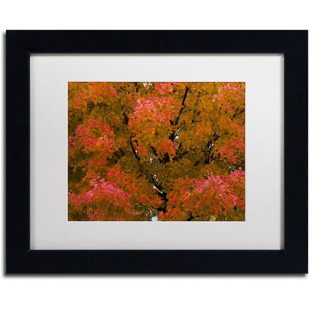 Trademark Fine Art "Autumn Maple Splendor" Canvas Art by Kurt Shaffer White Matte, Black Frame