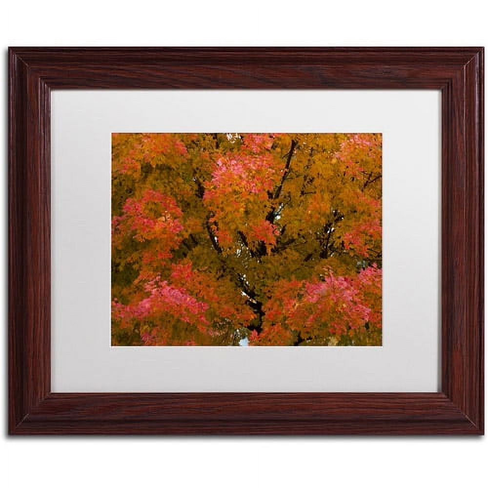 Trademark Fine Art "Autumn Maple Splendor" Canvas Art by Kurt Shaffer White Matte, Wood Frame