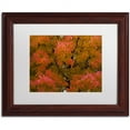 thumbnail image 1 of Trademark Fine Art "Autumn Maple Splendor" Canvas Art by Kurt Shaffer White Matte, Wood Frame, 1 of 4