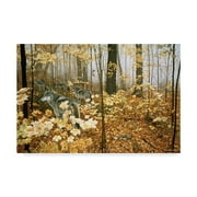 Trademark Fine Art 'Autumn Maples Wolves' Canvas Art by Ron Parker