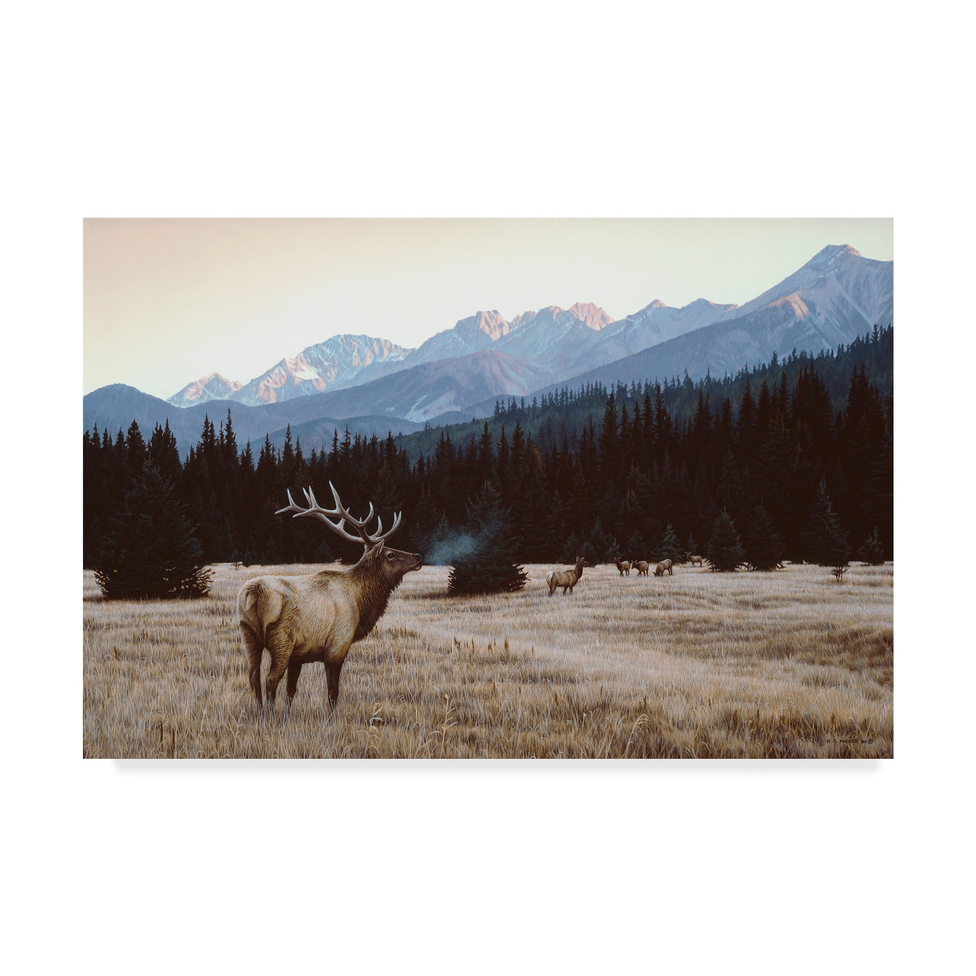 Trademark Fine Art 'Autumn Meadow' Canvas Art by Ron Parker