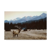 Trademark Fine Art 'Autumn Meadow' Canvas Art by Ron Parker