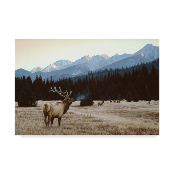 Trademark Fine Art 'Autumn Meadow' Canvas Art by Ron Parker