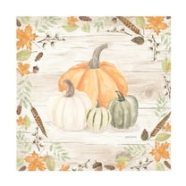 Trademark Fine Art 'Autumn Offering II Light' Canvas Art by Jenaya Jackson