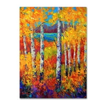 Trademark Fine Art 'Autumn Patchwork' Canvas Art by Marion Rose