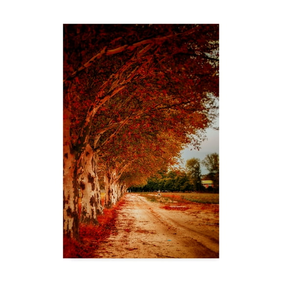 Trademark Fine Art 'Autumn Paths' Canvas Art by Pixie Pics