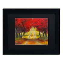 Trademark Fine Art 'Autumn Pathway' Canvas Art by Daniel Moises, Black Matte, Black Frame