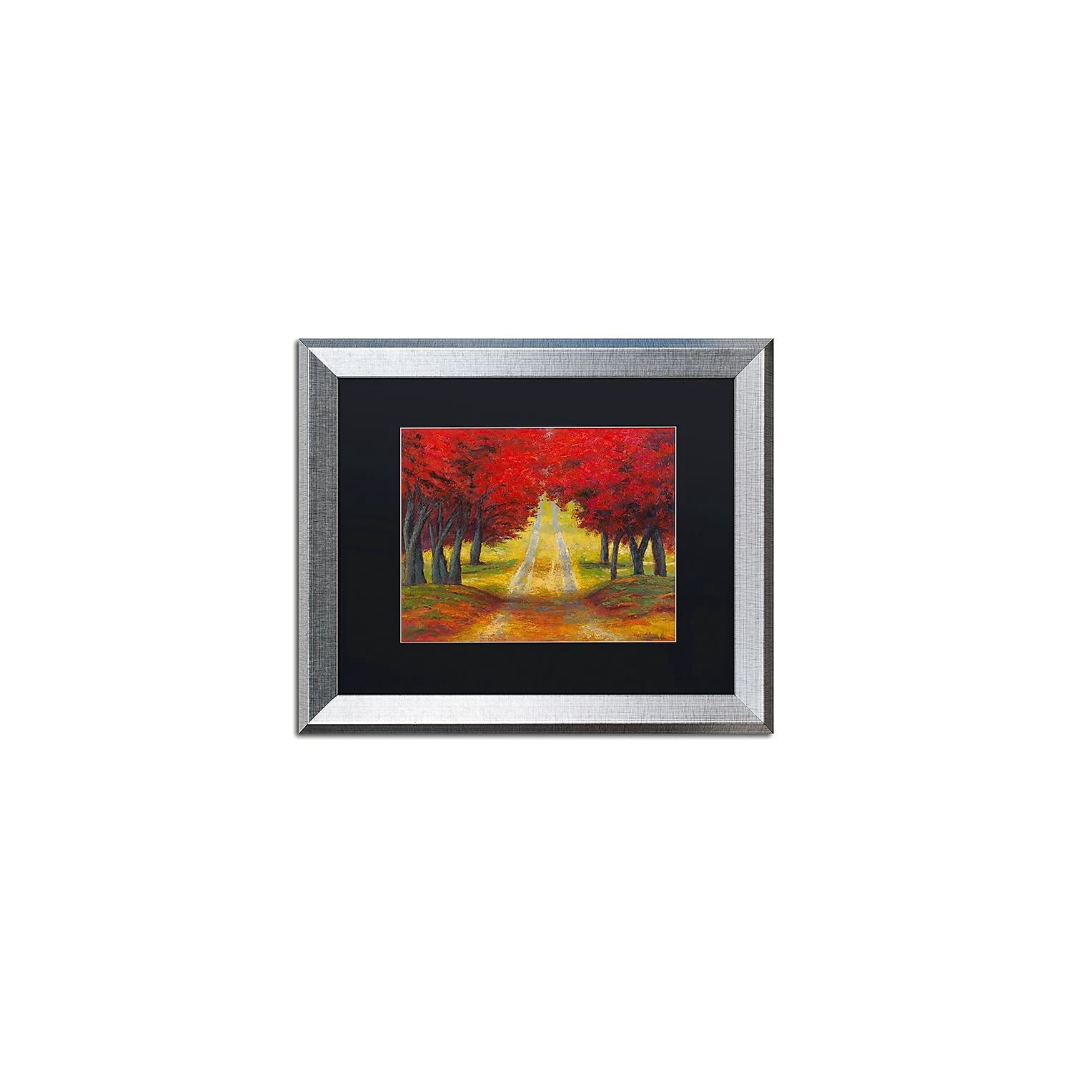 Trademark Fine Art 'Autumn Pathway' Canvas Art by Daniel Moises, Black Matte, Silver Frame