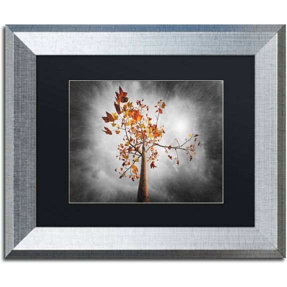 Trademark Fine Art "Autumn Rain" Canvas Art by Philippe Sainte-Laudy Black Matte, Silver Frame