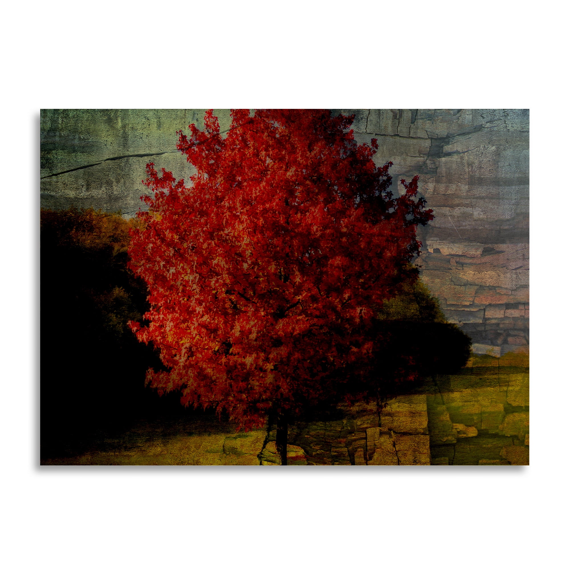 Trademark Fine Art 'Autumn Red' Brushed Aluminum Wall Art Art by Philippe Sainte-Laudy