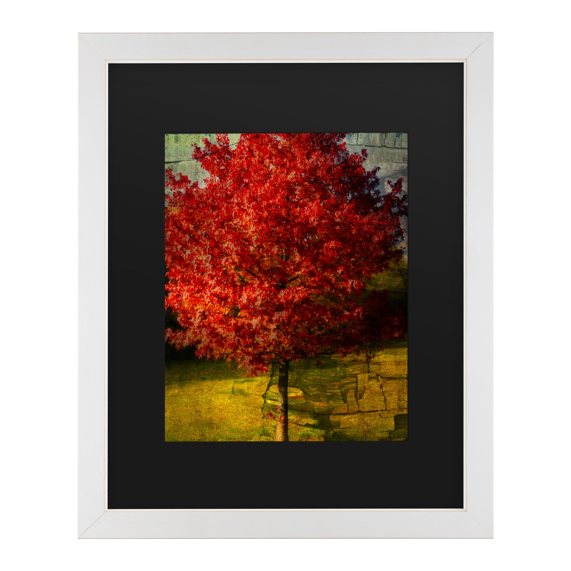 Trademark Fine Art 'Autumn Red' Canvas Art by Philippe Sainte-Laudy