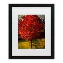 Trademark Fine Art 'Autumn Red' Canvas Art by Philippe Sainte-Laudy