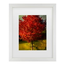 Trademark Fine Art 'Autumn Red' Canvas Art by Philippe Sainte-Laudy