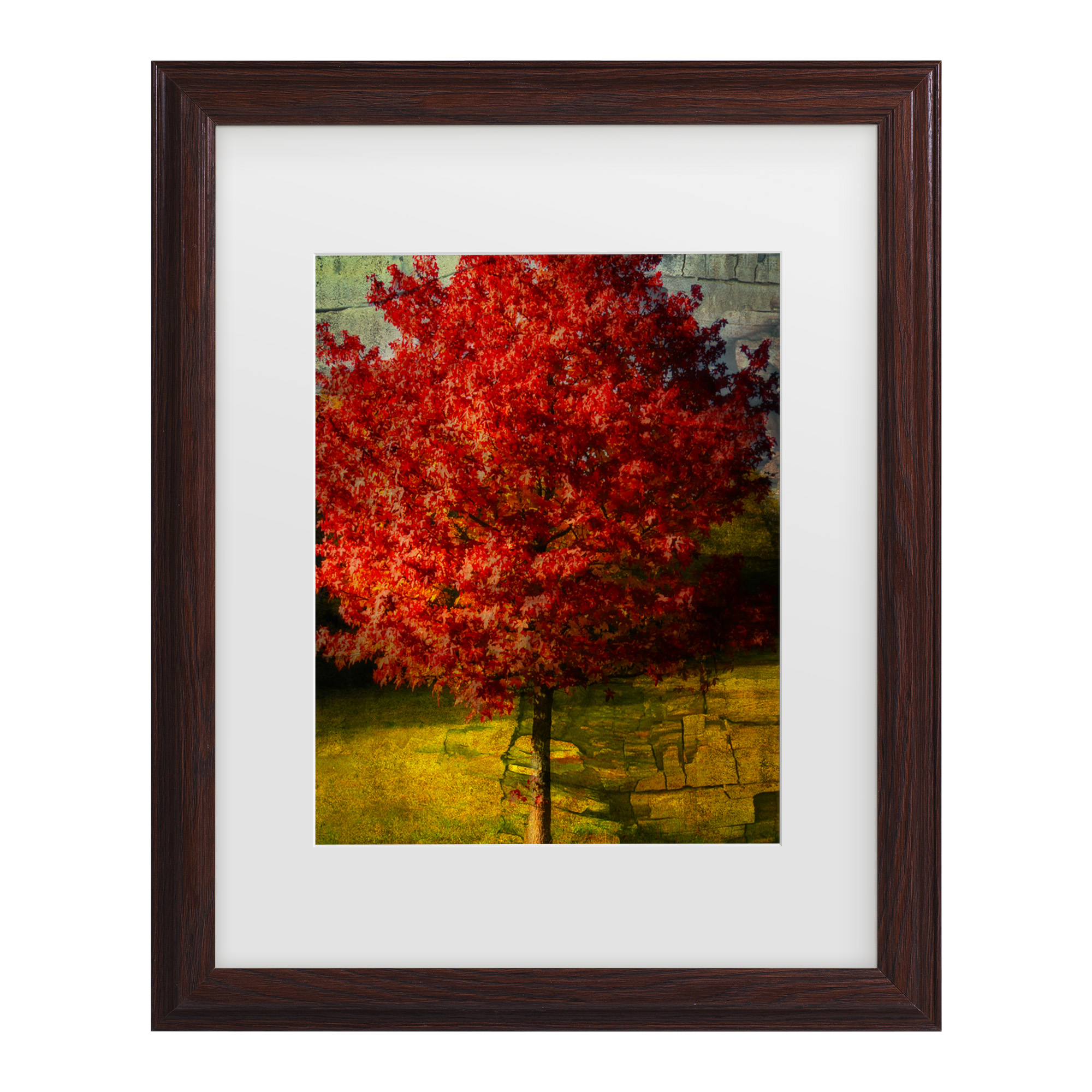 Trademark Fine Art 'Autumn Red' Canvas Art by Philippe Sainte-Laudy