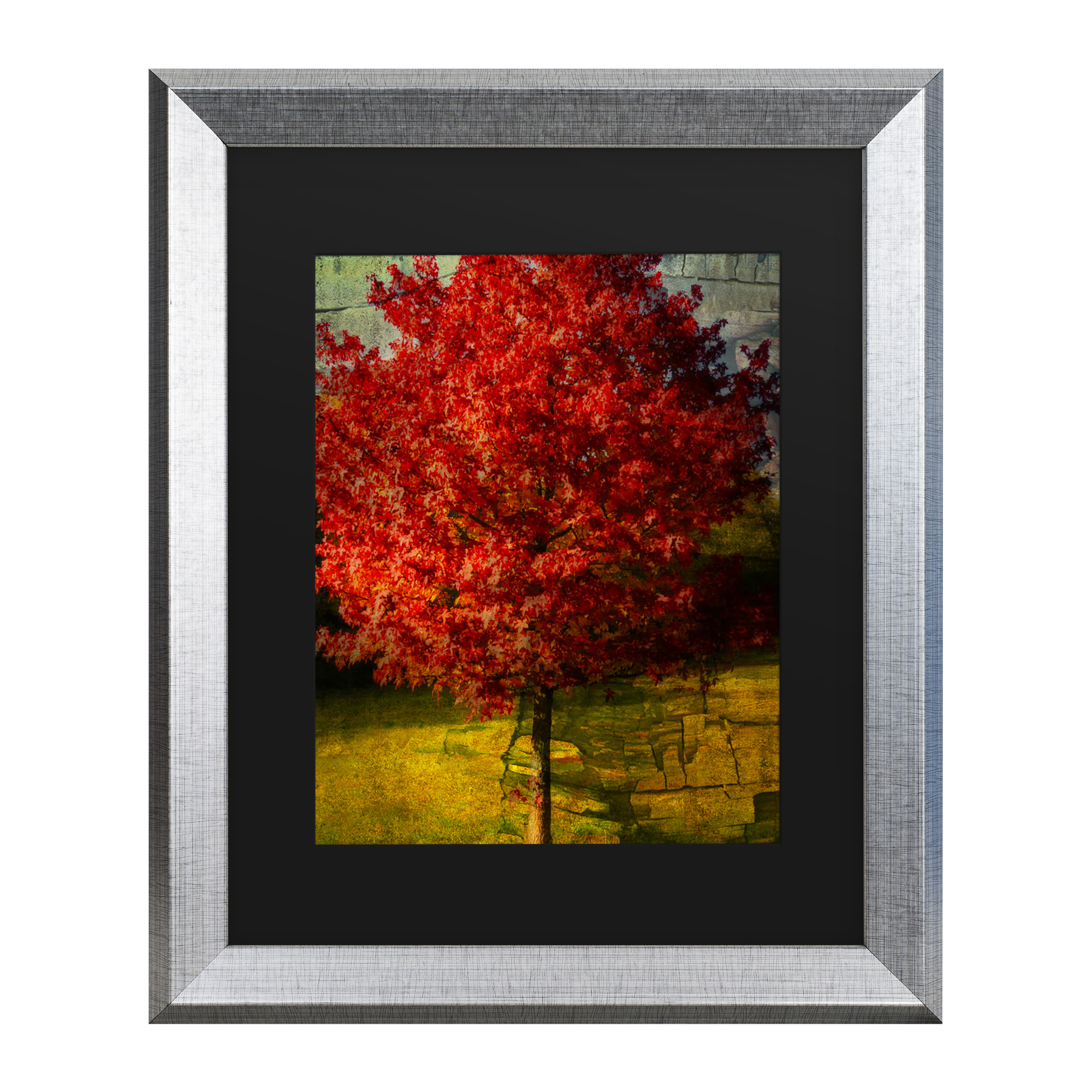 Trademark Fine Art 'Autumn Red' Canvas Art by Philippe Sainte-Laudy