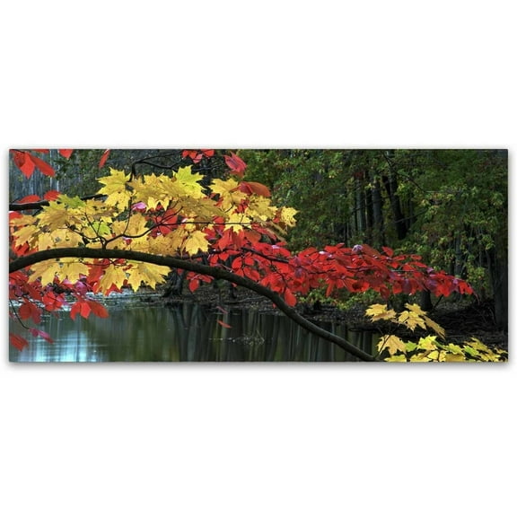 Trademark Fine Art "Autumn Red and Gold" Canvas Art by Kurt Shaffer