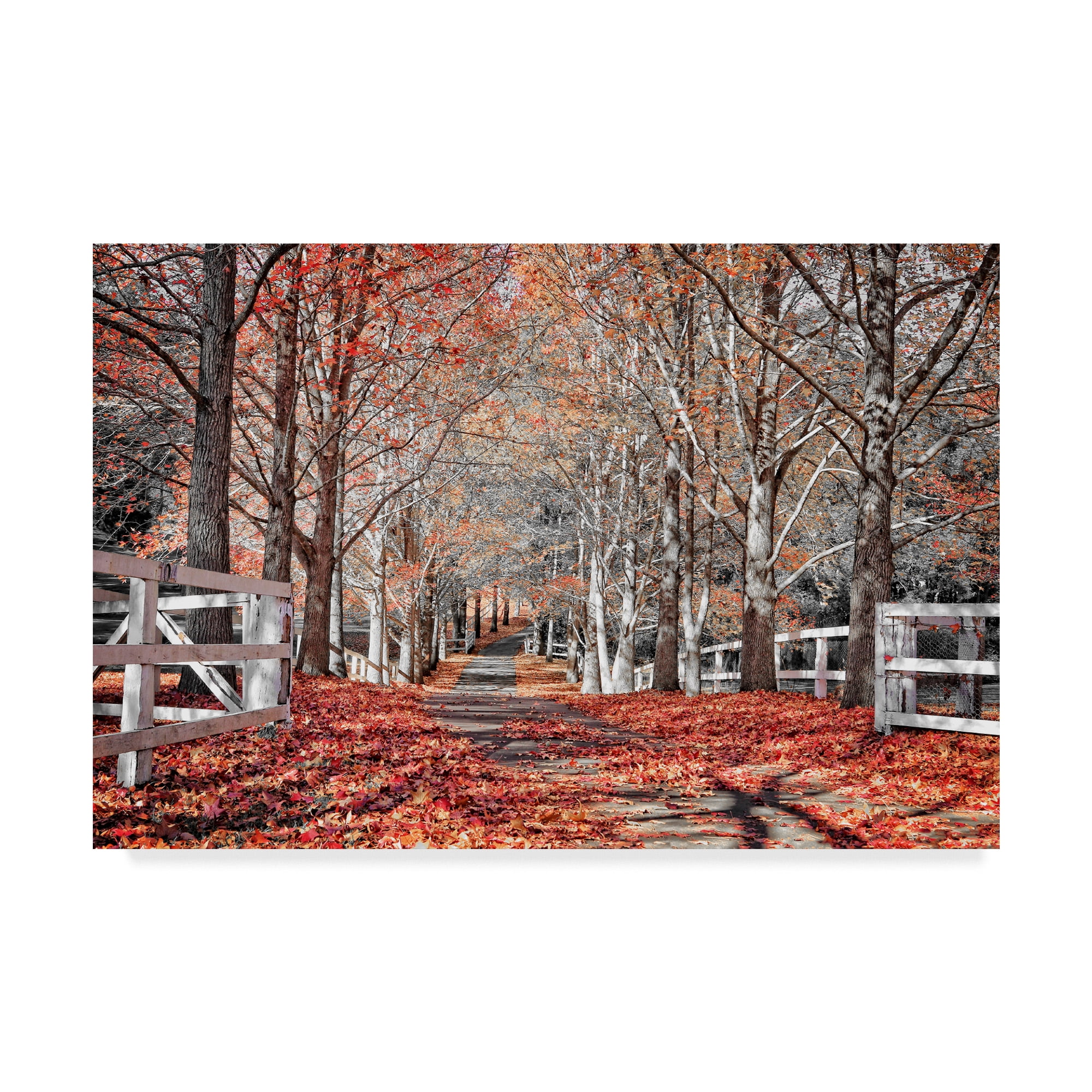 Trademark Fine Art 'Autumn Reds I' Canvas Art by Beata Czyzowska Young