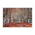 thumbnail image 1 of Trademark Fine Art 'Autumn Reds I' Canvas Art by Beata Czyzowska Young, 1 of 3