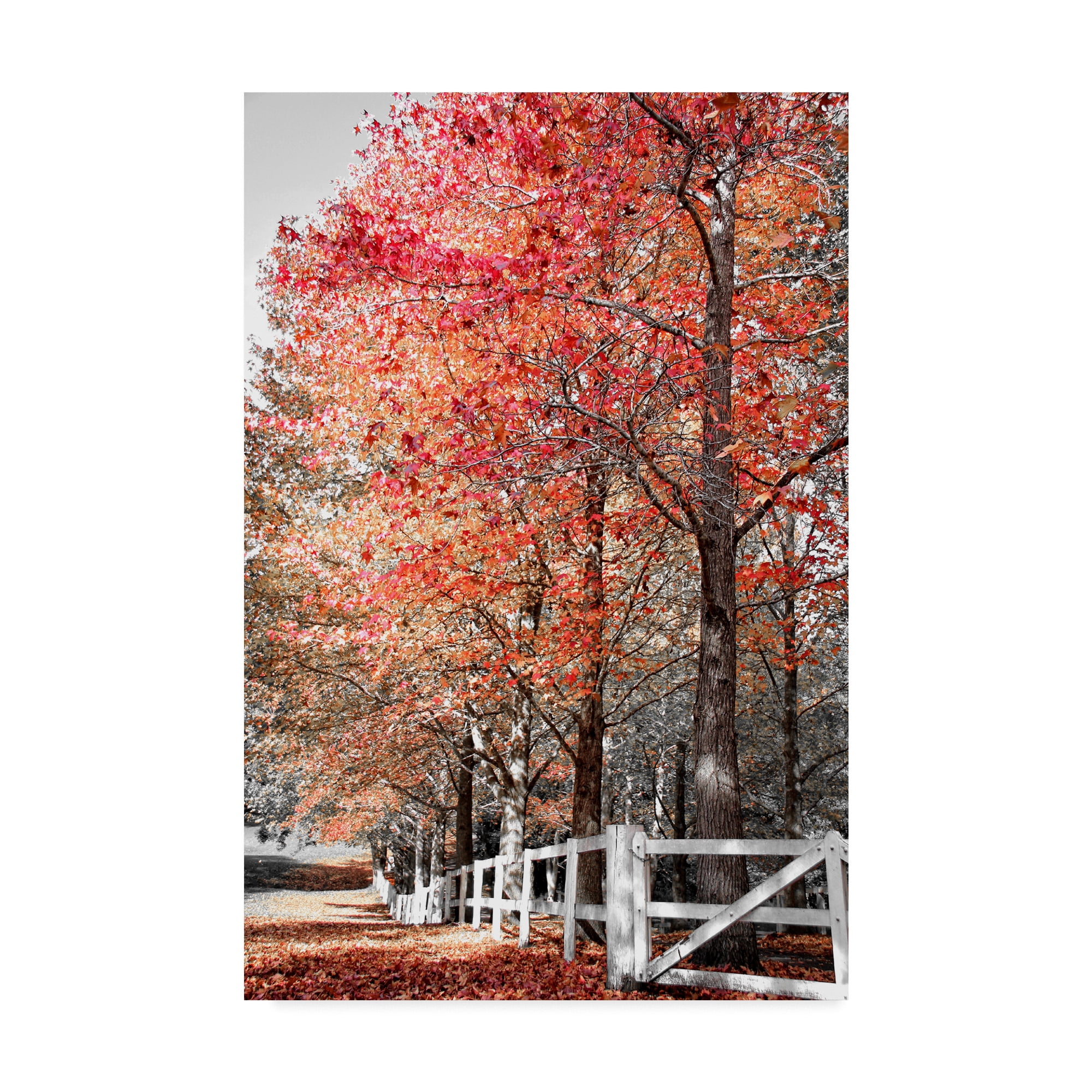 Trademark Fine Art 'Autumn Reds IV' Canvas Art by Beata Czyzowska Young