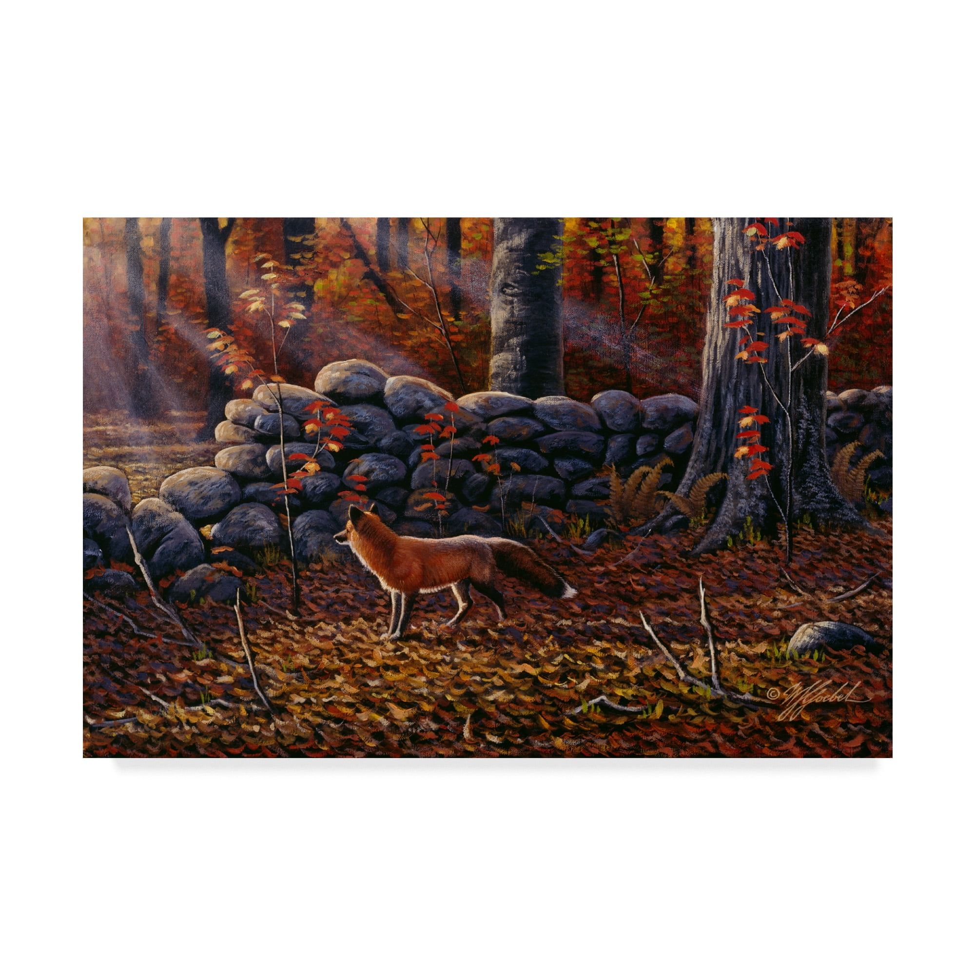 Trademark Fine Art 'Autumn Reds Red Fox' Canvas Art by Wilhelm Goebel