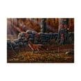 thumbnail image 1 of Trademark Fine Art 'Autumn Reds Red Fox' Canvas Art by Wilhelm Goebel, 1 of 3