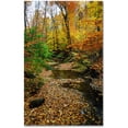 thumbnail image 1 of Trademark Fine Art "Autumn Stream" Canvas Art by Kurt Shaffer, 22x32, 1 of 2
