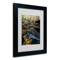 Trademark Fine Art "Autumn Stream" Canvas Art by Kurt Shaffer, Black Frame