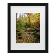 Trademark Fine Art 'Autumn Stream' Canvas Art by Kurt Shaffer