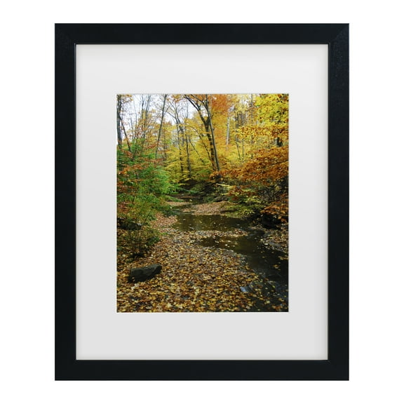 Trademark Fine Art 'Autumn Stream' Canvas Art by Kurt Shaffer