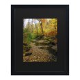 thumbnail image 1 of Trademark Fine Art 'Autumn Stream' Canvas Art by Kurt Shaffer, 1 of 4