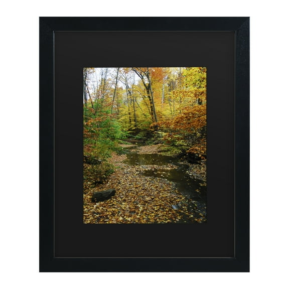 Trademark Fine Art 'Autumn Stream' Canvas Art by Kurt Shaffer
