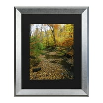 Trademark Fine Art 'Autumn Stream' Canvas Art by Kurt Shaffer