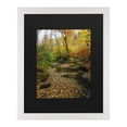 thumbnail image 1 of Trademark Fine Art 'Autumn Stream' Canvas Art by Kurt Shaffer, 1 of 4