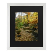 Trademark Fine Art 'Autumn Stream' Canvas Art by Kurt Shaffer