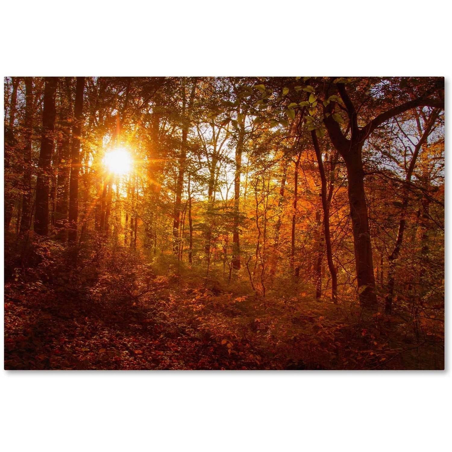 Autumn Sunset Landscape Gallery-Wrapped Canvas Art