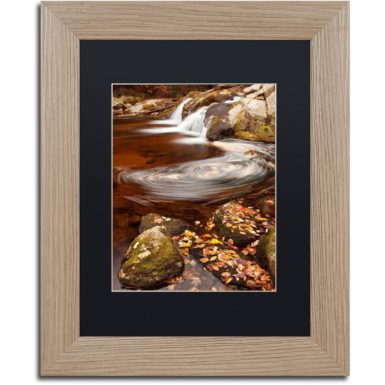 Trademark Fine Art "Autumn Swirly" Canvas Art by Michael Blanchette Photography Black Matte, Birch Frame