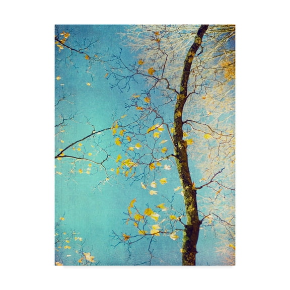 Trademark Fine Art 'Autumn Tapestry III' Canvas Art by Judy Stalus