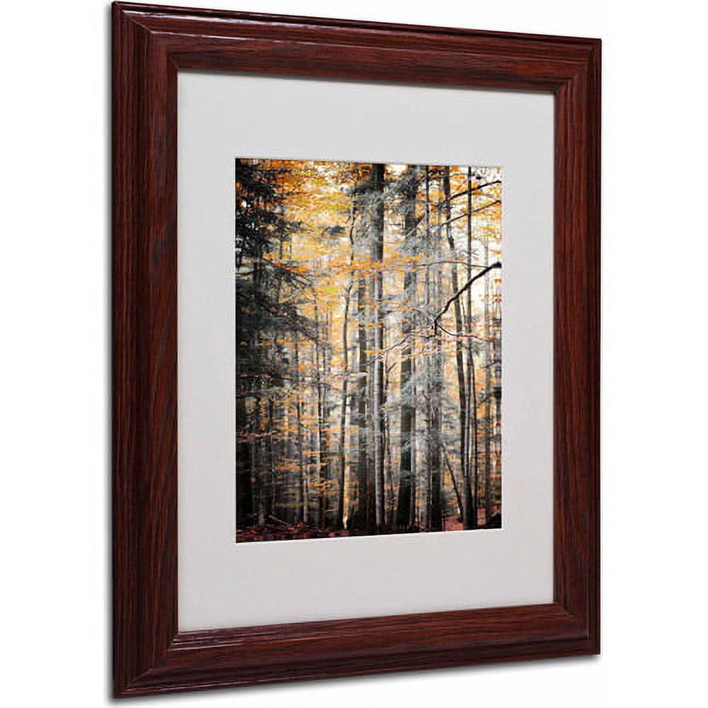 Trademark Fine Art "Autumn Tones" Canvas Art by Philippe Sainte-Laudy, Wood Frame