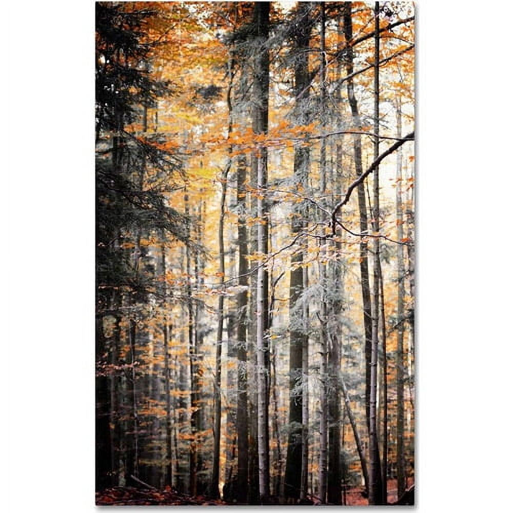 Trademark Fine Art "Autumn Tones" Canvas Art by Philippe Sainte-Laudy