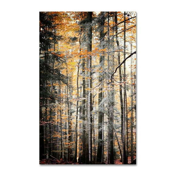 Trademark Fine Art "Autumn Tones" Canvas Art by Philippe Sainte-Laudy