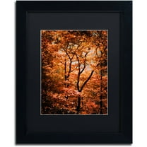 Trademark Fine Art "Autumn Whispers" Canvas Art by Philippe Sainte-Laudy Black Matte, Black Frame