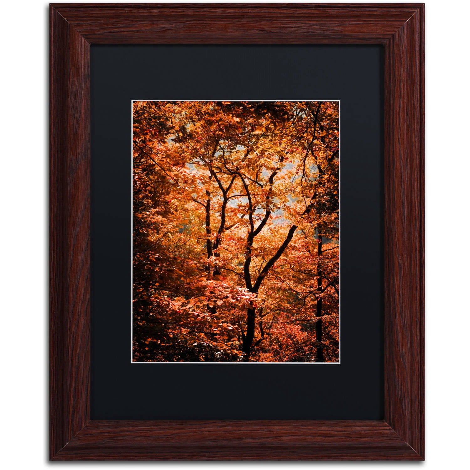 Trademark Fine Art "Autumn Whispers" Canvas Art by Philippe Sainte-Laudy Black Matte, Wood Frame