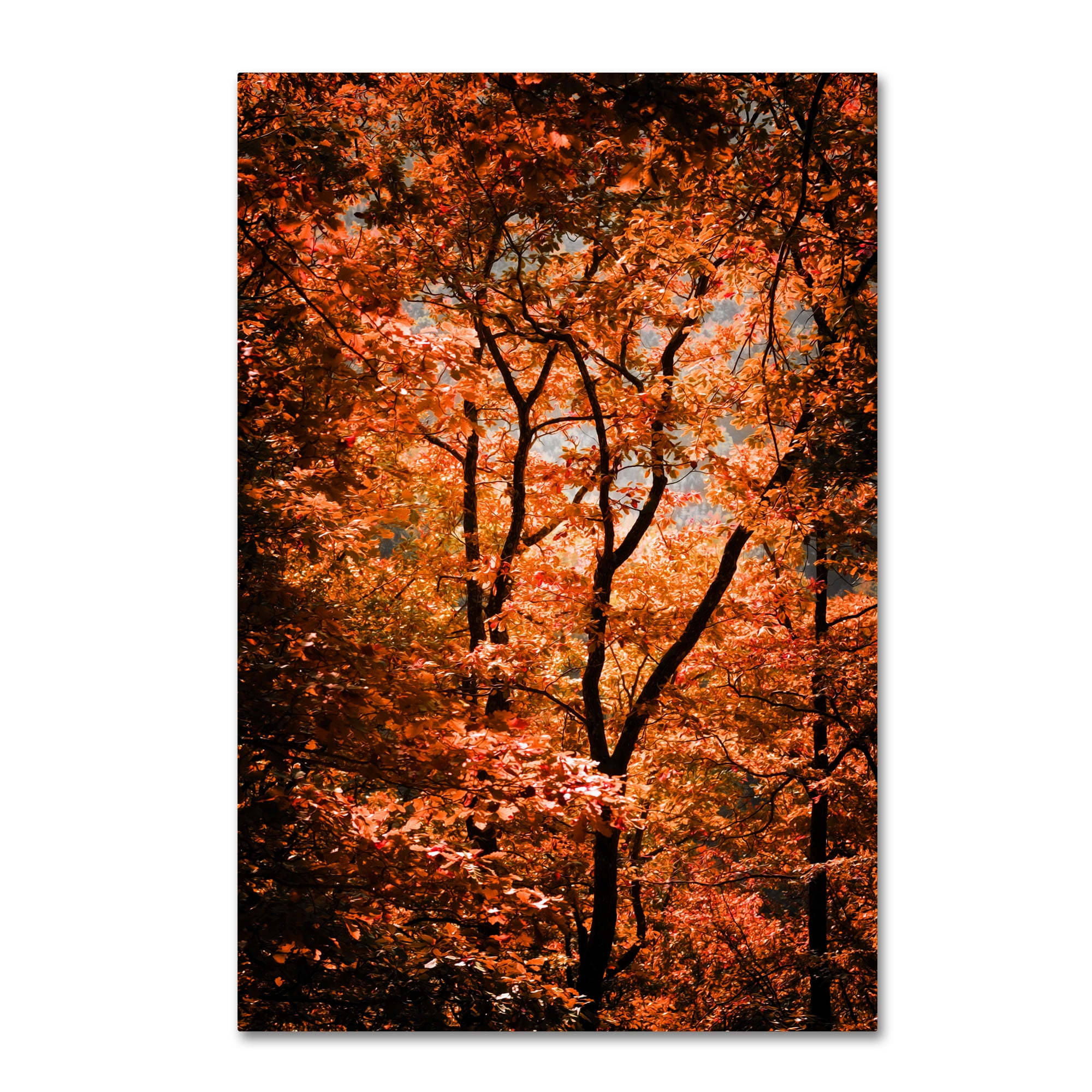 Trademark Fine Art "Autumn Whispers" Canvas Art by Philippe Sainte-Laudy