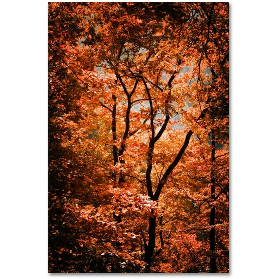Trademark Fine Art "Autumn Whispers" Canvas Art by Philippe Sainte-Laudy