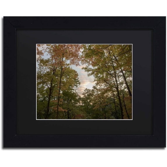 Trademark Fine Art "Autumn Window to a Sunset" Canvas Art by Kurt Shaffer, Black Matte, Black Frame