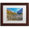 thumbnail image 1 of Trademark Fine Art 'Autumn at the Opabin Plateau' Canvas Art by Pierre Leclerc, White Matte, Wood Frame, 1 of 1