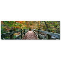 Trademark Fine Art "Autumn in Rock Creek Park" Canvas Art by Gregory O'Hanlon