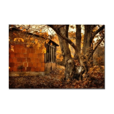 Trademark Fine Art "Autumn on the Farm" Canvas Art by Lois Bryan