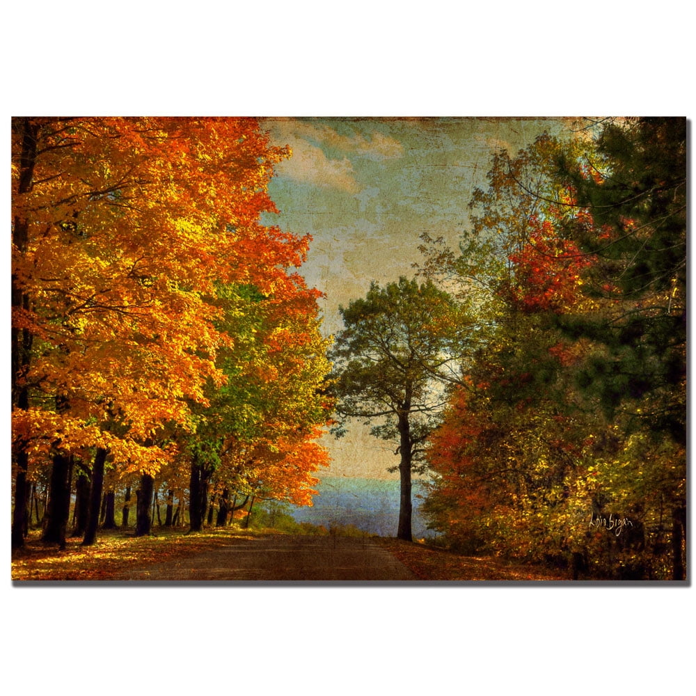 Trademark Fine Art "Autumn on the Mountain" Canvas Art by Lois Bryan